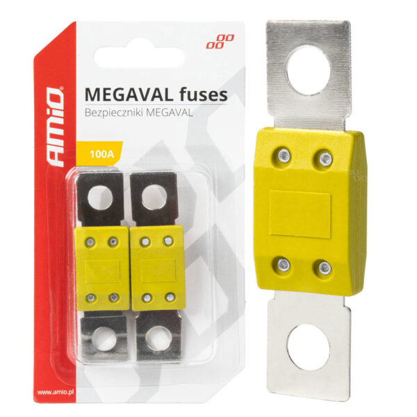 ALL IN POINT ΑΣΦΑΛΕΙΕΣ MEGAVAL 100A AMIO - 2 Τεμ. - AIN-181165 iluma.GR