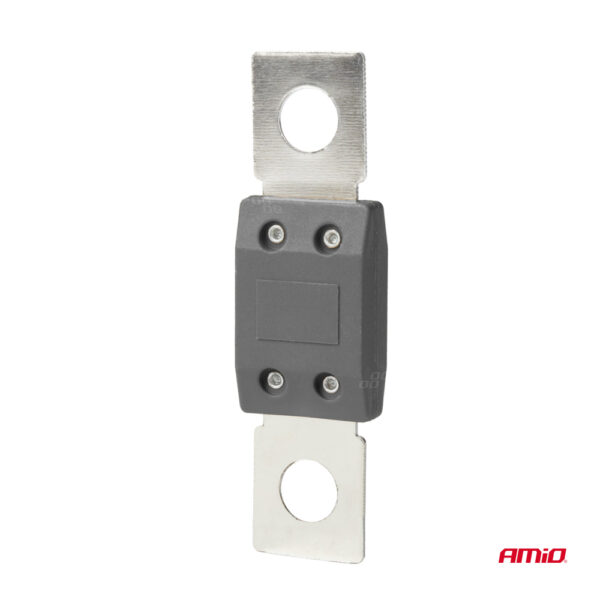 ΑΣΦΑΛΕΙΕΣ MEGAVAL 300A AMIO - 2 Τεμ. - Image 2