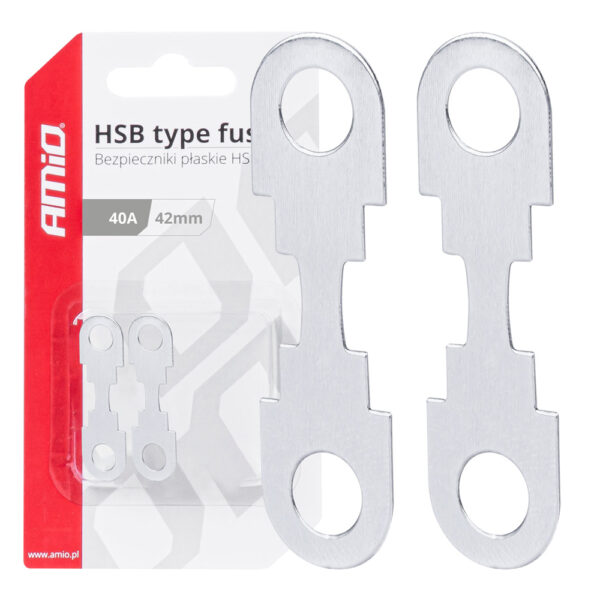 ALL IN POINT ΑΣΦΑΛΕΙΕΣ FLAT 42mm 40A AMIO - 2 Τεμ. - AIN-181202 iluma.GR
