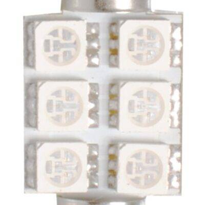 ALL IN POINT ΛΑΜΠΑΚΙΑ ΠΛΑΦΟΝΙΕΡΑΣ C5W/C10W 12V 1