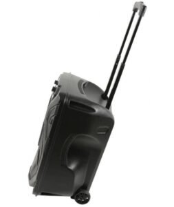 Media Player & Bluetooth 12" 80W RMS (Σετ) BUSKER-12