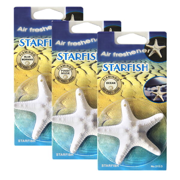 All in point - ΑΡΩΜΑΤΙKΟ STARFISH ΑΣΤΕΡΙΑΣ