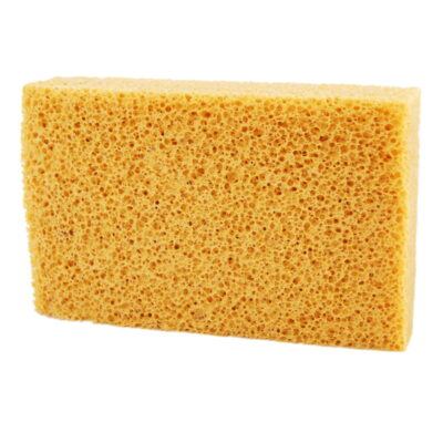 All in point - ΣΦΟΥΓΓΑΡΙ KING SPONGE ΚΟΡΑΛΙ